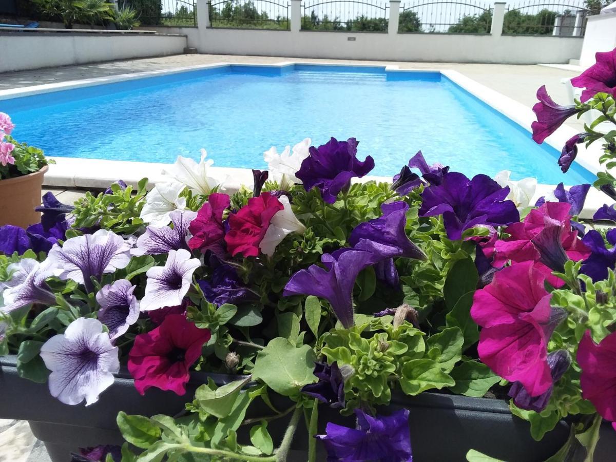 House Ariamare
