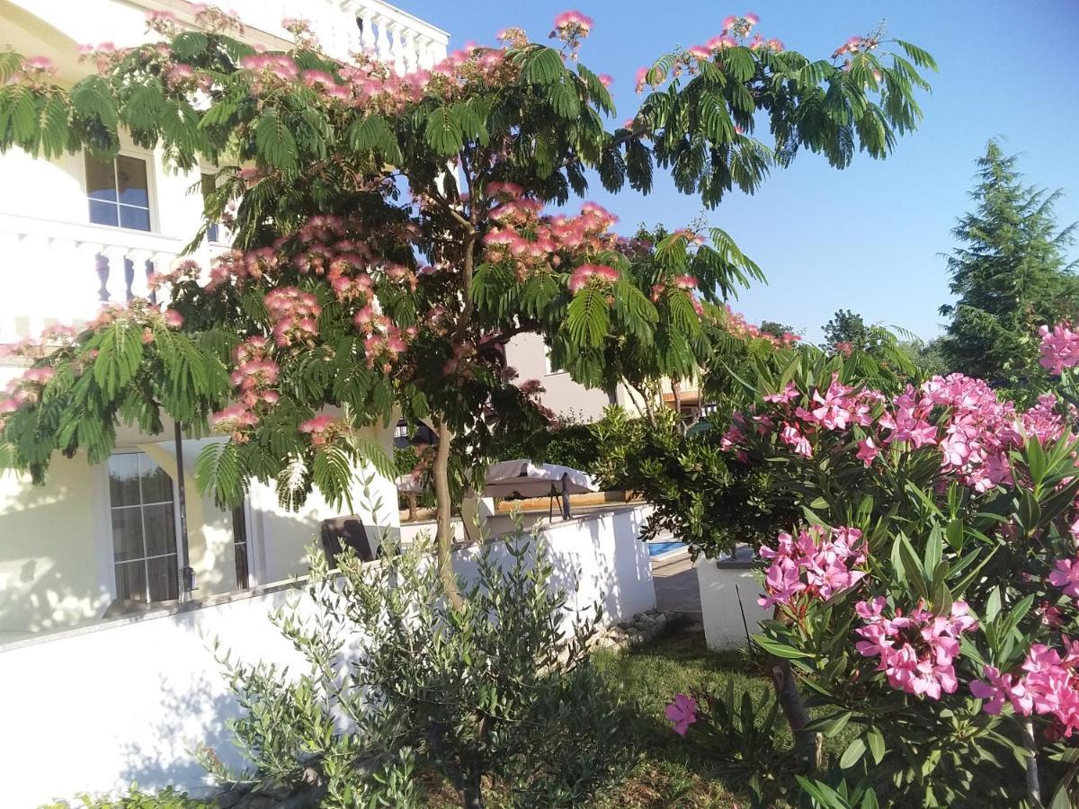 Appartement House Ariamare *