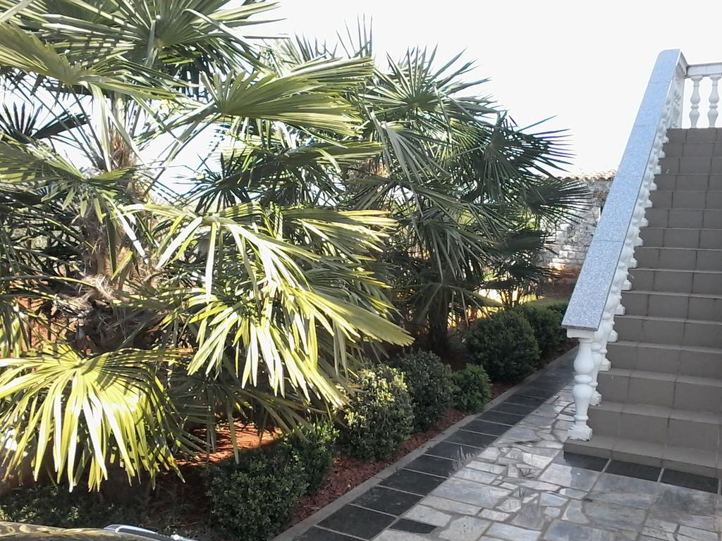 Appartement House Ariamare *