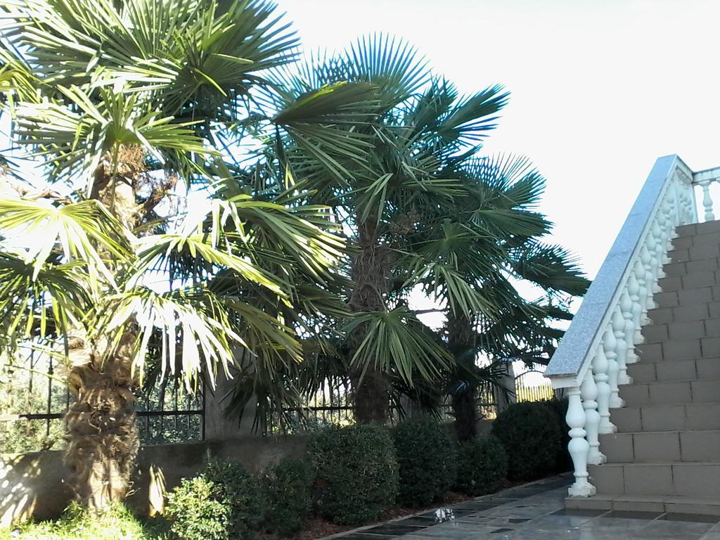 Appartement House Ariamare *