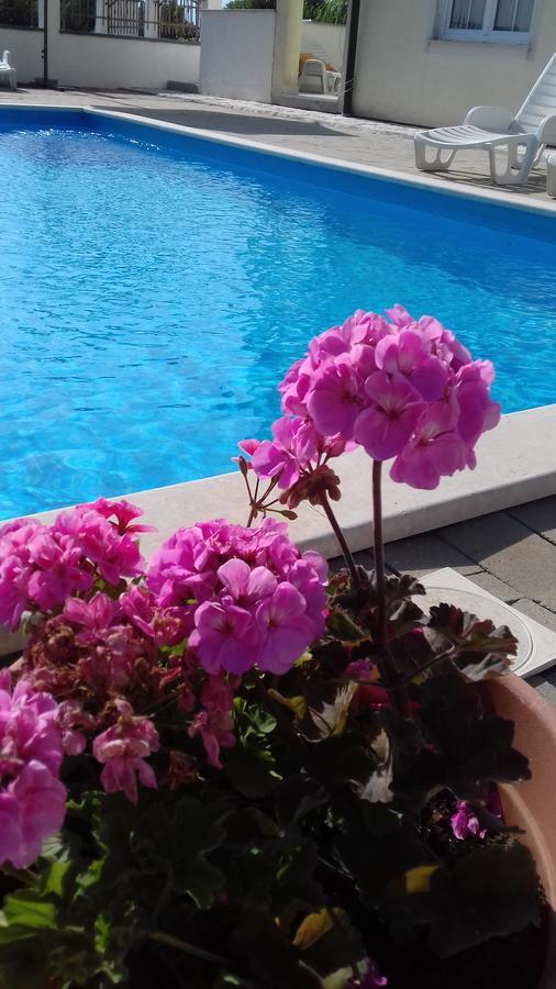 House Ariamare *