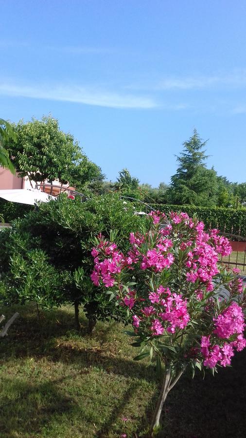 House Ariamare *