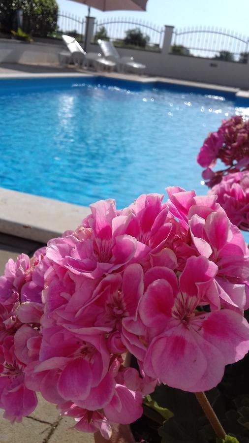 Appartement House Ariamare *